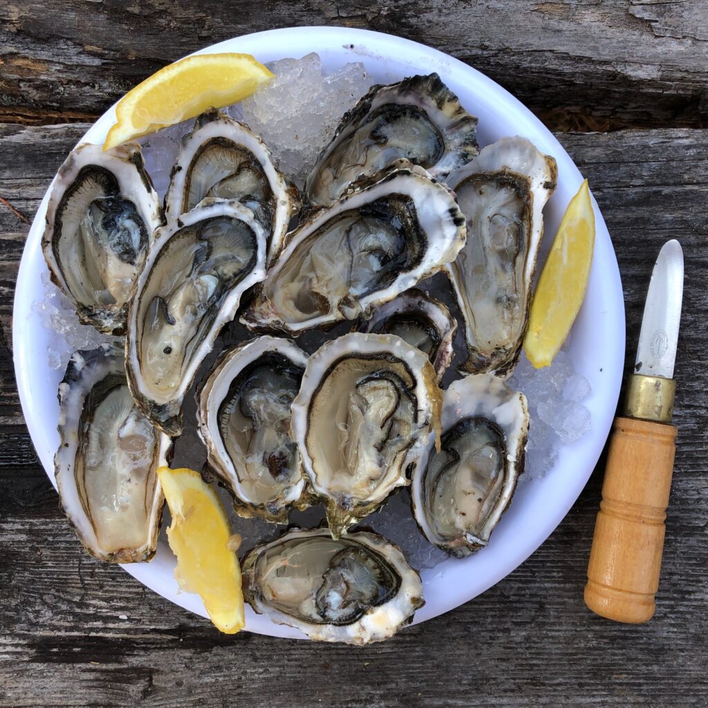 Raw Bar Tuesdays